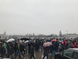 Акция в поддержку Навального в Калининграде