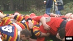 Брайан Сайкс полагает, что гены не играют определяющей роли при формировании национального характера. Искусство жить по-английски