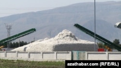 Ahalda pagta ýygymy