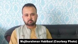 محمد ادیب غیاثی، آگاه امور سیاسی