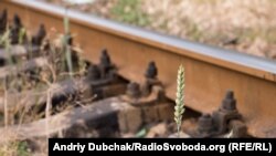 Иллюстративное фото