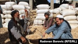 امسال در حاصلات بادام در کندز افزایش چشمگیری بوجود آمده‌است.