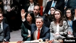 Представитель США в Совете безопасности ООН Том Уолтц 