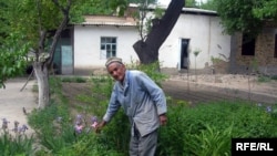 Мисли оқои Абдулвоҳид аз Хуҷанд, бисёр нафақахӯрони тоҷик вақти худро бо нигоҳубини боғу ҳавлӣ пушти сар мекунанд