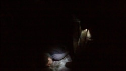 Підозрюваний затриманий українськими військовими поблизу бойових позицій ЗСУ на хуторі Вільний