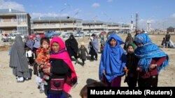 شماری از بی‌جا شده‎های مالستان و جاغوری