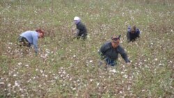 Häkimiýetler sowuk howa garamazdan, býujet işgärlerini mejbury pagta ýygymyna çekmegi dowam etdirýär