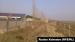 Дом рядом с аэропортом. 