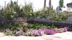 Сузак: үлгүлүү үй - үлгүлүү көчө