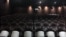 Пустой зал кинотеатра Chaplin Cinema. 
