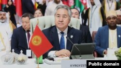Кыргызстандын тышкы иштер министри Жээнбек Кулубаев.