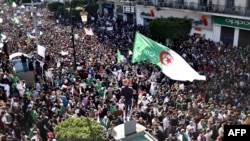 Одна из массовых демонстраций в Алжире, март 2019