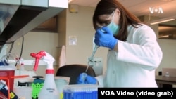 Иллюстрациялык сүрөт