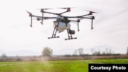 Illýustrasiýa suraty