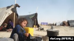 بیجا شده‌ها از دشت لیلی