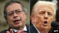 Густава Пэтра і Дональд Трамп