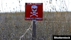 Иллюстративное фото