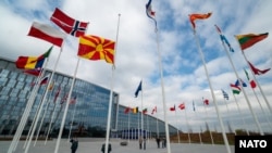 Иллюстрациялык сүрөт.