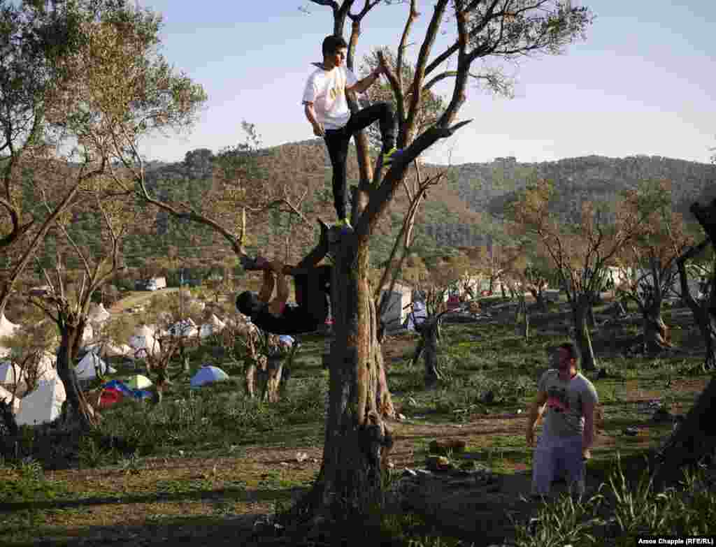 Эти три иранца находятся в лагере на острове Лесбос очень давно. Один из них, Алиреза Хоссейни (в центре), говорит: &quot;Мы будем ждать здесь и год, и два, но в Иран точно не вернемся никогда&quot;.