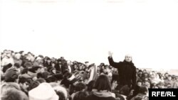 Курапаты. Здымкі розных гадоў