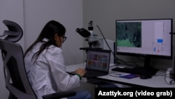 Иллюстрациялык сүрөт. 