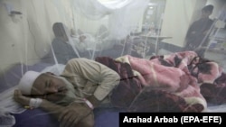 افراد مبتلا به تب دنگی به مراقبت های جدی صحی نیاز دارند