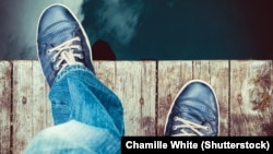 Иллюстрациялык сүрөт.