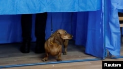 Під час голосування на виборах президента України на одній з виборчих дільниць у Києві, 31 березня 2019 року 