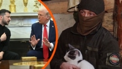 Українські військові – про суперечку Трампа і Зеленського в Білому домі (відео)