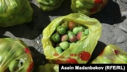 Ысык-Көлдүн алмуруту.