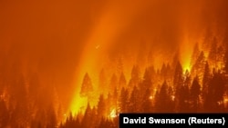Лісова пожежа верхньої інтенсивності у Каліфорнії. США
