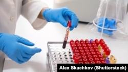 Иллюстрациялык сүрөт.