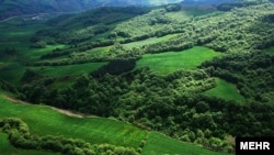 Иллюстративное фото