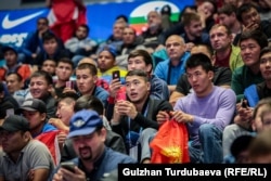 Балбан Акжол Махмудов күйөрмандардын арасында.