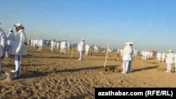 Türkmenistanda agaç ekiş kampaniýasy ýylda iki gezek geçirilýär. 8-nji noýabr, 2025.