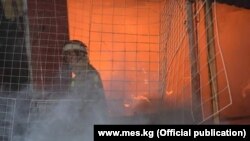 Иллюстрациялык сүрөт. 