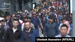 Иллюстрациялык сүрөт. 