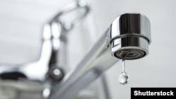 Иллюстрациялык сүрөт.