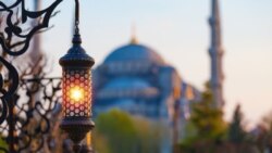 Türkmenistanly migrant zenan Stambulda pyçaklanyp öldürildi