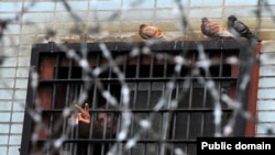 Өзүн-өзү жардырган делген 16 адамдын өлүмү ырастала элек