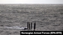 Иллюстрациялык сүрөт. 