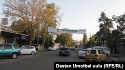 Мырза-Аке айылындагы борбордук көчө.