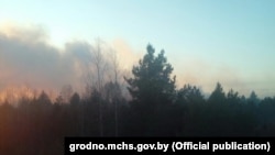 Лясны пажар на Горадзеншчыне. Архіўнае фота