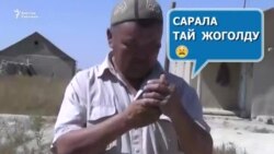 Твиттер айылга кызмат кылууда