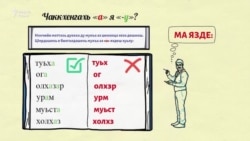 Дош доьрзуш «а» я «у»?