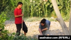 Türkmen kärendeçileri