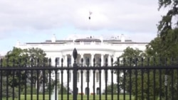 О чём был телефонный разговор Трампа с Путиным