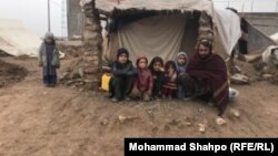 بیجا شدگان در هرات