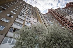 Квіт вишні під однією з багатоповерхівок масиву