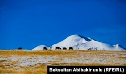 Кыргызстандын тоолуу аймактарынын бири.